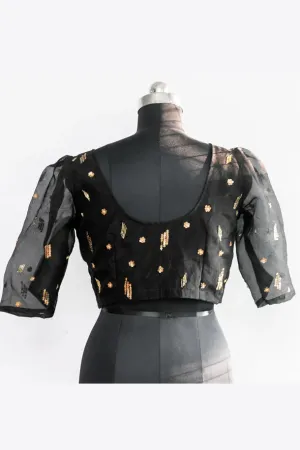 Organza Silk Hand Embroidery Padded Blouse