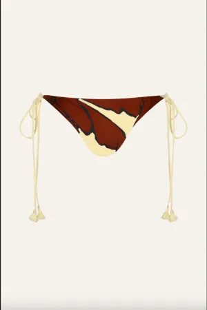 Palms Entorche Del Mar Bikini Bottom