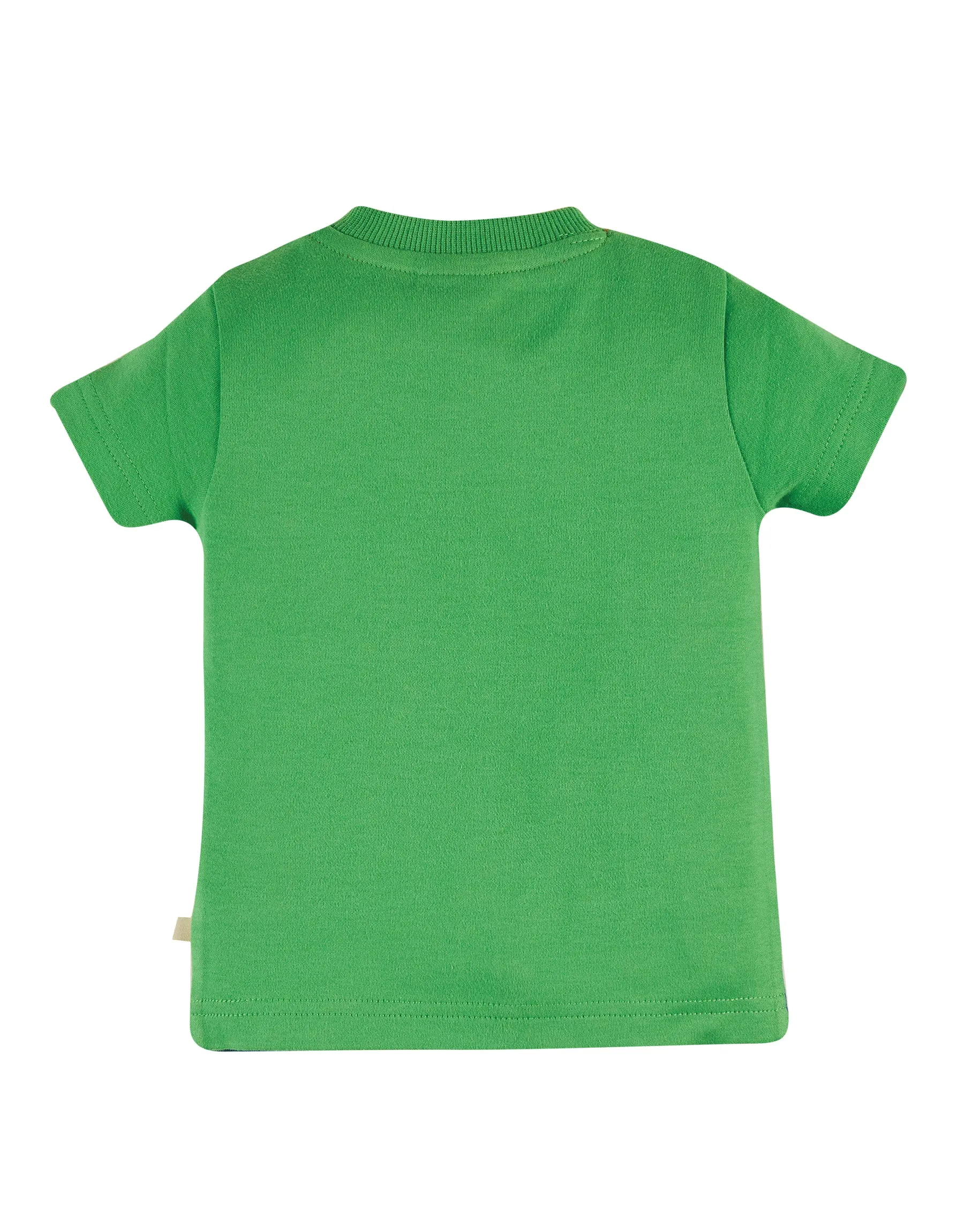 Penryn Panel T-Shirt - Glen Green/Buffalo