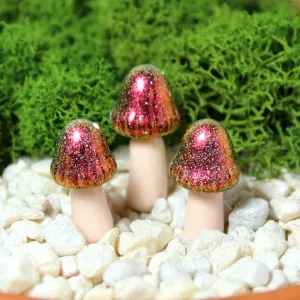 Red Giant Fairy Mushrooms
