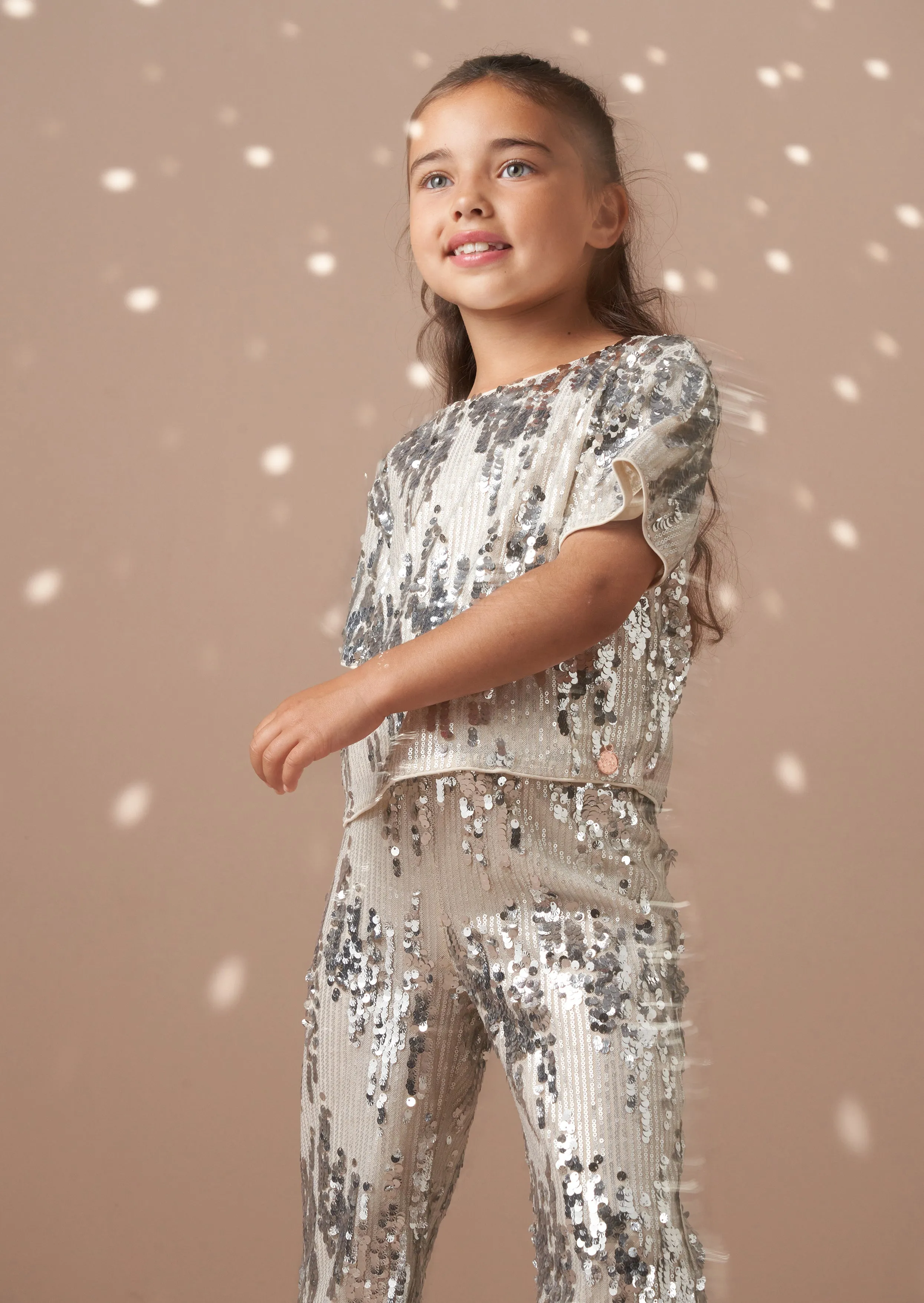 Sadie Silver Sequin Top