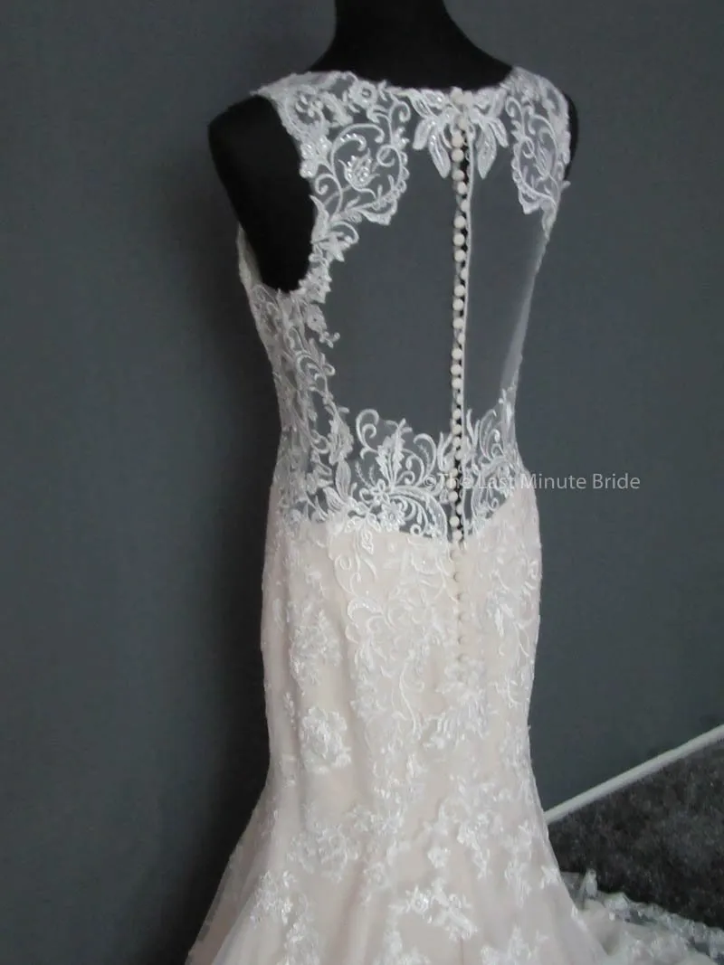 Stella York 6500