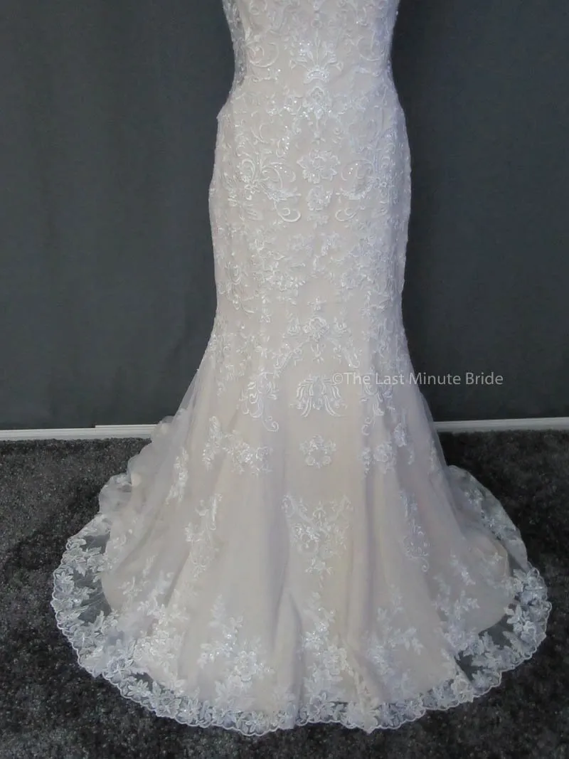 Stella York 6500