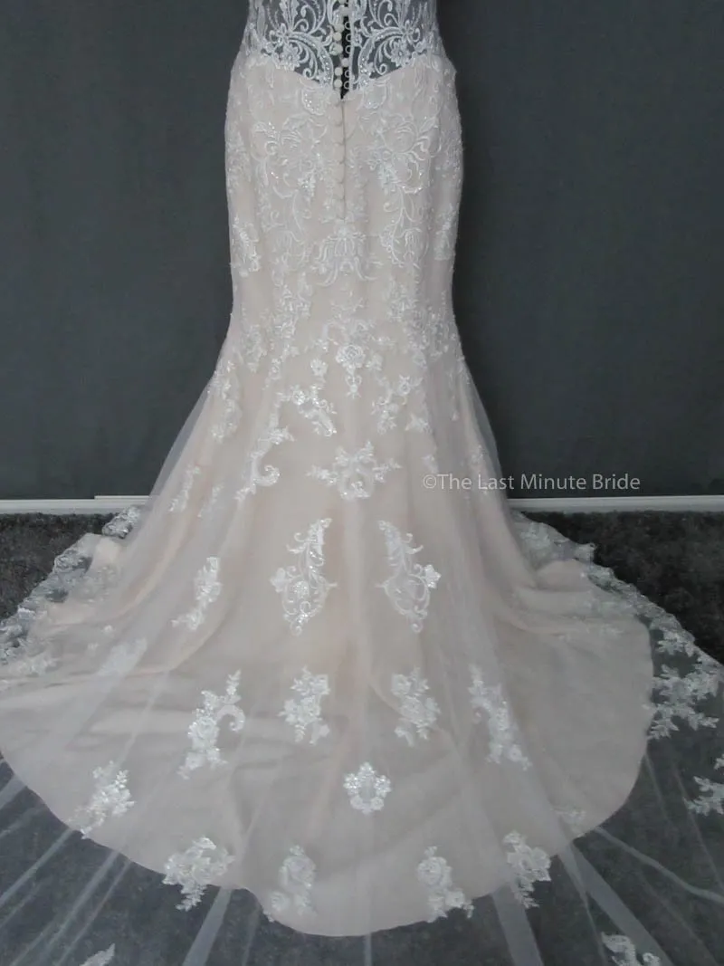 Stella York 6500
