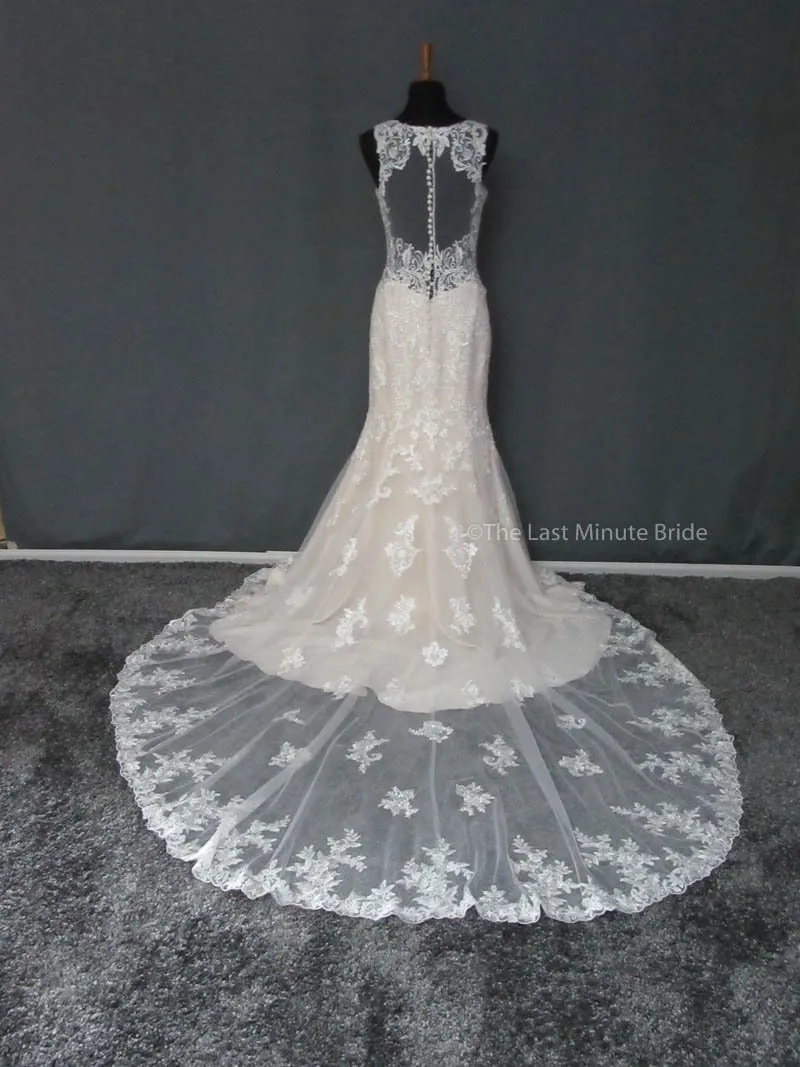 Stella York 6500