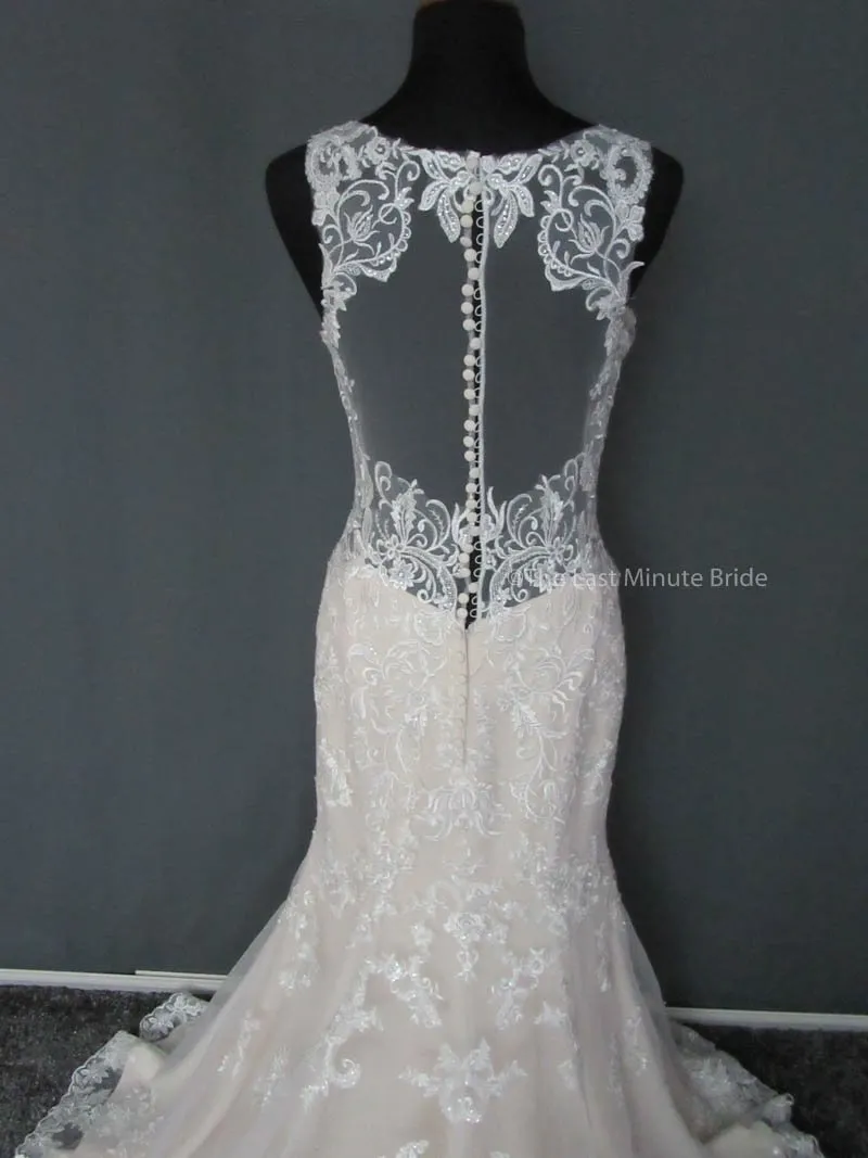 Stella York 6500